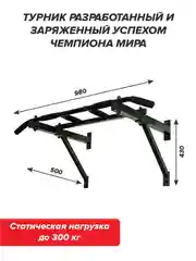 Турник Absolute Champion "Треххватный", черный, разборный Aktiv, 300 кг, наддверный, для дома