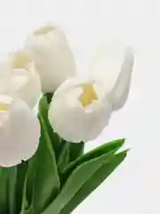Алый искусственные цветы "Тюльпаны", 3 / 5 штук