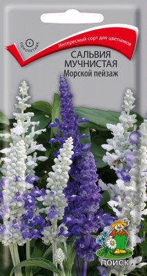 Сальвия Морской пейзаж, 10шт/Поиск