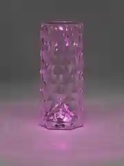 Настольная RGB лампа в виде лепестков, сенсорное управление, 21,5 см