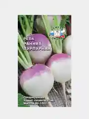 Семена Репа "Ранняя пурпурная", Седек, 1 г