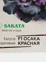 Семена Капуста "Осака красная"