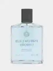 Туалетная вода для мужчин Parfum Club Chrome, 100 мл