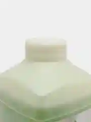 Средство для чистки туалета BERLI WC-GEL, профессиональное, 1 л