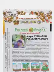 Астра Русский Размер "Турмалин"