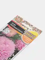 Семена Астра "Розовая Соната", Русский размер, НК