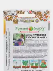 Семена Астра "Пурпурная", Русский Размер II, НК