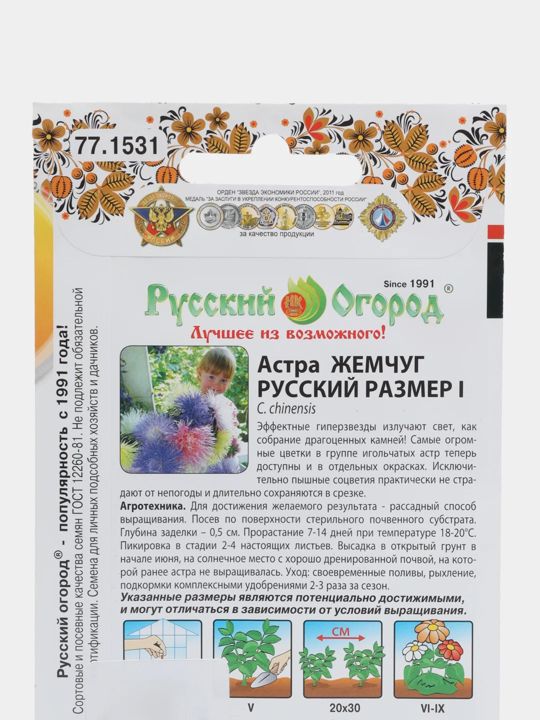 Астра Жемчуг "Русский размер I"