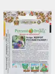 Астра Жемчуг "Русский размер I"