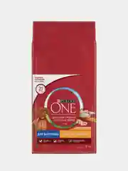 Сухой корм Purina ONE для взрослых собак средних и крупных пород, с курицей и рисом, 10 кг
