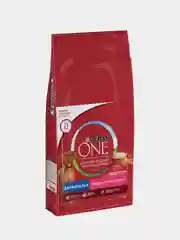 Сухой корм для взрослых собак Purina ONE, с говядиной и рисом, 10 кг