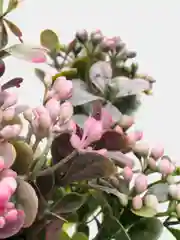 Розовый искусственные цветы, 5 видов
