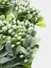 Лесной зеленый искусственные цветы, 5 видов