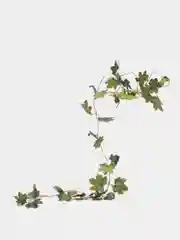 Терракотовый декоративная лиана, виноградная, плющ искусственный, цветы