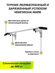 Белый турник настенный Absolute Champion HIT белый, наддверный, 2 хвата
