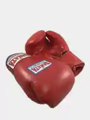 Перчатки боксерские Danata Star