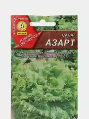 Салат АЭлита "Азарт полукочанный"