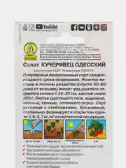 Салат АЭлита "Кучерявец Одесский полукочанный"