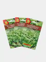Салат АЭлита "Кучерявец Одесский полукочанный"