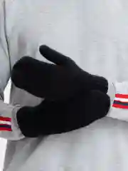 Шерстяные варежки