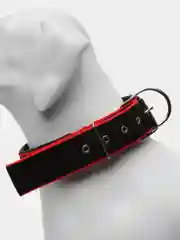 Черный ошейник для собак и кошек. Ошейник для крупных, средний и мелких пород