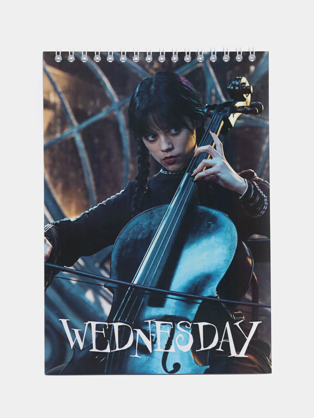 Бронзовый блокнот с принтом, по мотивам сериала Wednesday (Уэнсдей)