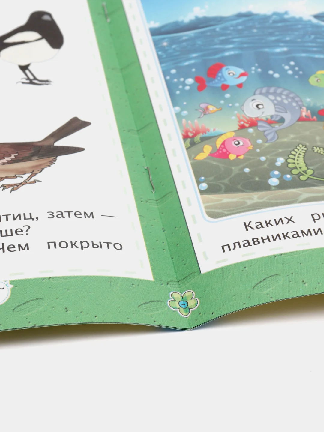 Книжки для развития - Логика и Окружающий мир
