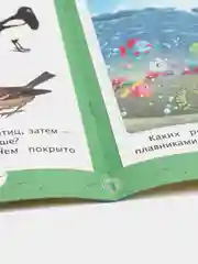 Книжки для развития - Логика и Окружающий мир