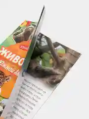 Животные Южной Америки