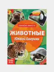 Животные Южной Америки