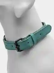 Тёмно-бирюзовый ошейник для собак