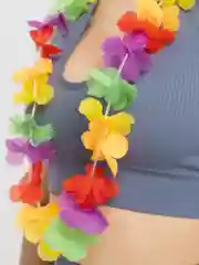 Коралловый гавайские аксессуары