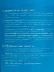 Оксигент Estel Professional Princess Essex 6%, 1000 мл