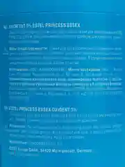 Оксигент Estel Professional Princess Essex 3%, 1000 мл