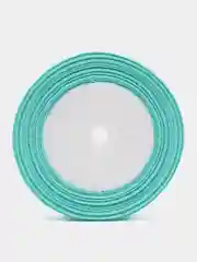 Мятный лента репсовая, 2,5 см