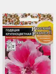 Семена Годеция, Русский размер, НК