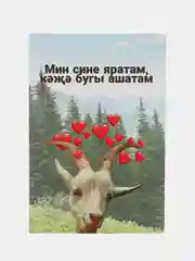 Ледяной татарские приколы подарок другу подруги близкому