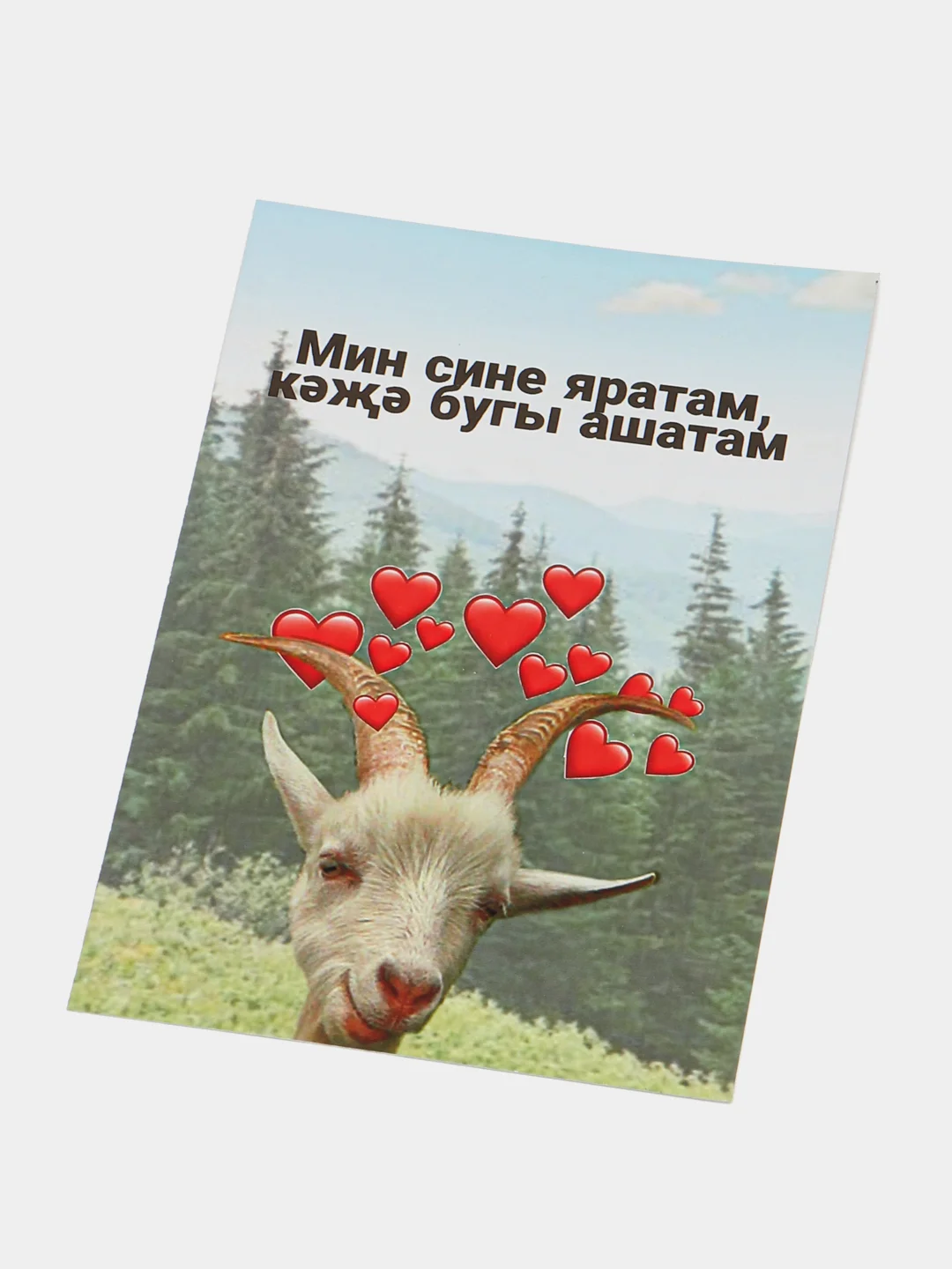 Ледяной татарские приколы подарок другу подруги близкому