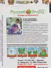 Астра Русский размер "Аквамарин"