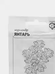 Семена Кориандр "Янтарь", в белой пачке, Гавриш