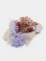 Фиолетовый сухоцветы в контейнере
