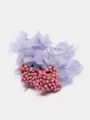 Фиолетовый сухоцветы в контейнере