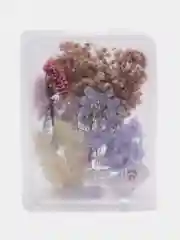 Фиолетовый сухоцветы в контейнере