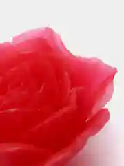 Алый мыло ручной работы "Роза"