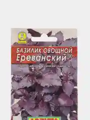 Базилик овощной "Ереванский", 2 штуки
