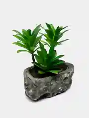 Черный цветы декоративные для интерьера