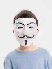 Бежевый новогодние карнавальные маски