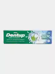 Зубная паста Vasu Dentup с нимом и гвоздикой 100 гр