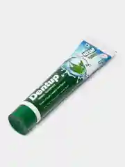 Зубная паста Vasu Dentup с нимом и гвоздикой 100 гр