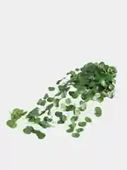 Зеленый настенные зелёные растения, искусственные, кустовые